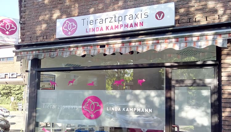 Vorschau von Tierärztin Linda Kampmann
