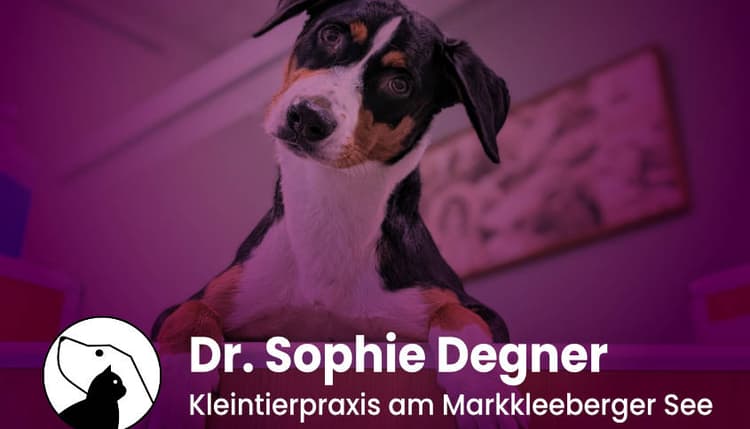 Vorschau von Dr. Sophie Degner - Kleintierpraxis am Markkleeberger See