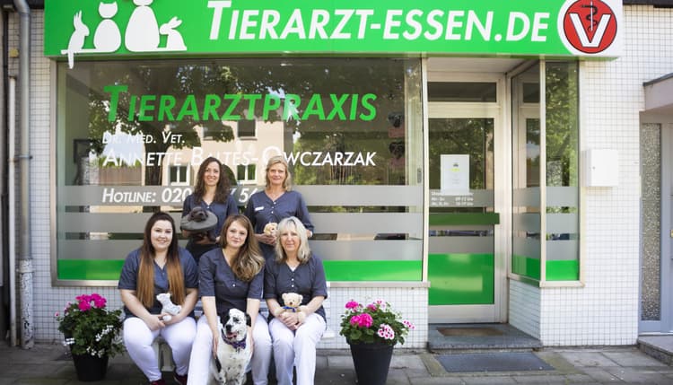 Preview of Tierarzt Essen GmbH - Dr. Annette Baltes - Tierärztin