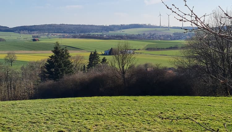 Vorschau von Dagmar Immel Tierärztin