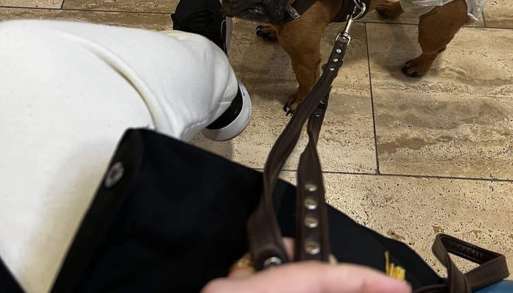 Vorschau von Tierärzte Igling