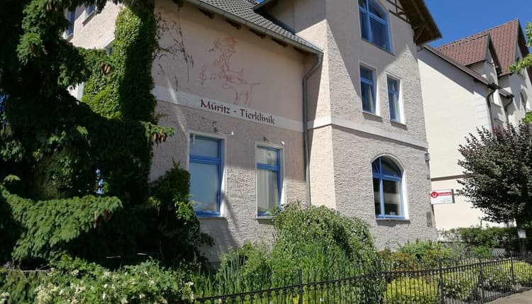 Vorschau von Müritz-Tierklinik Tierärzte IVC Evidensia GmbH