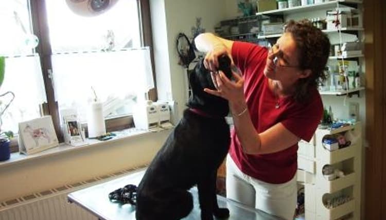 Vorschau von Dr.med.vet. Elke Deus Tierärztin