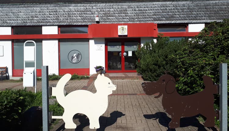 Vorschau von Tierärztin Tatjana Tolkmitt