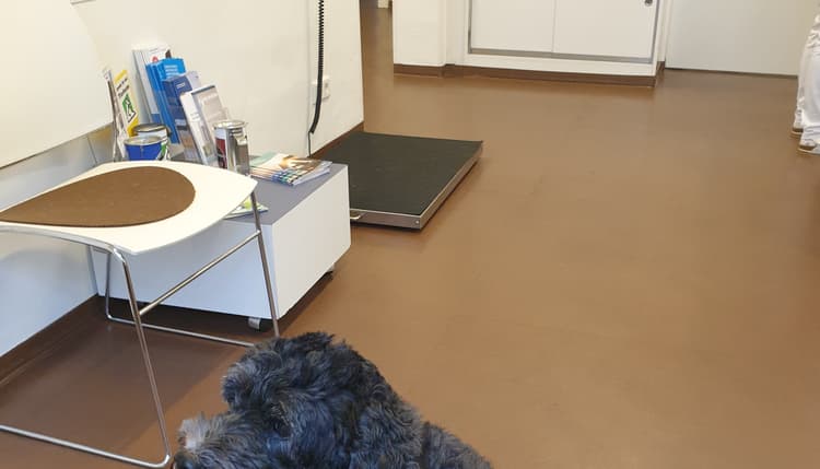 Vorschau von Tierärztliche Praxis am Wienburgpark, Dr. Partale
