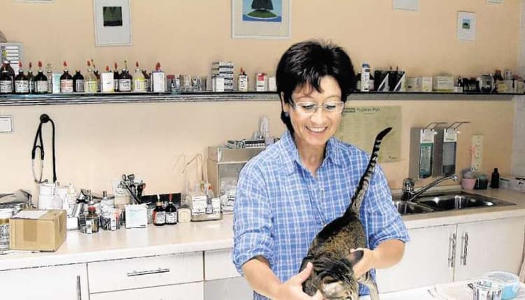 Vorschau von Tierarztpraxis Dr. Heigl