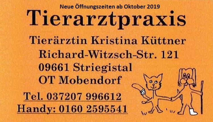 Vorschau von Kristina Küttner