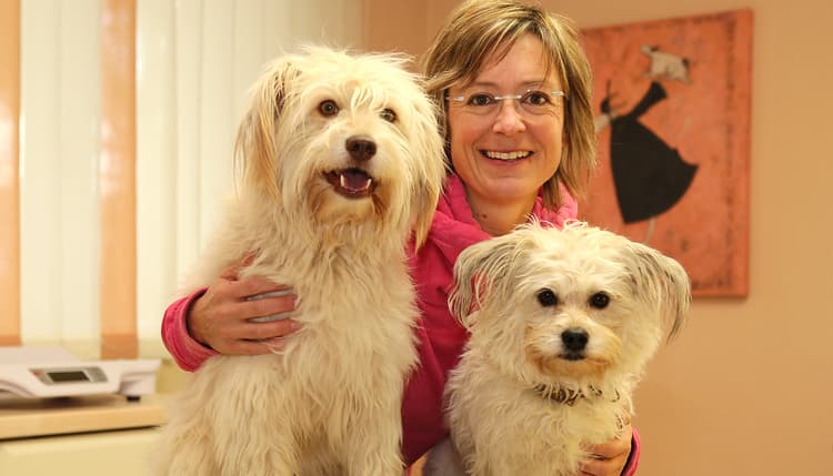 Vorschau von Dr.med.vet. Susanne Kratz