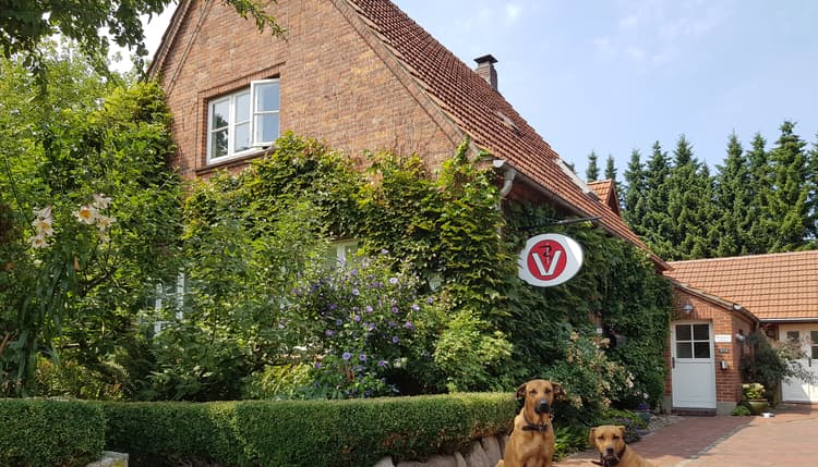 Vorschau von Tierärztliche Praxis für Kleintiere Kim Übermuth