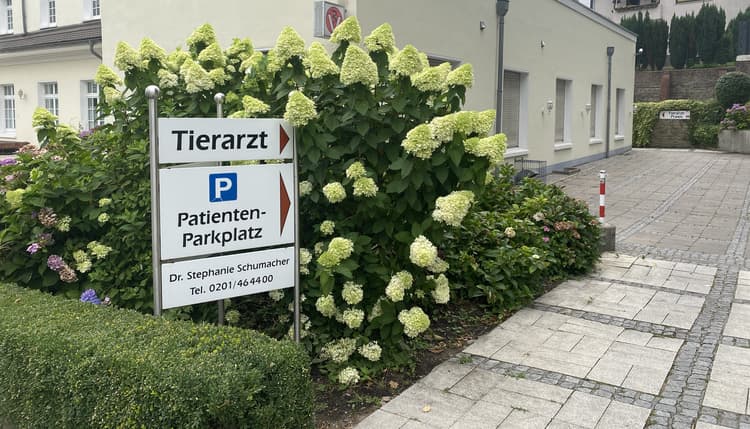 Vorschau von Dr. Stephanie Schumacher