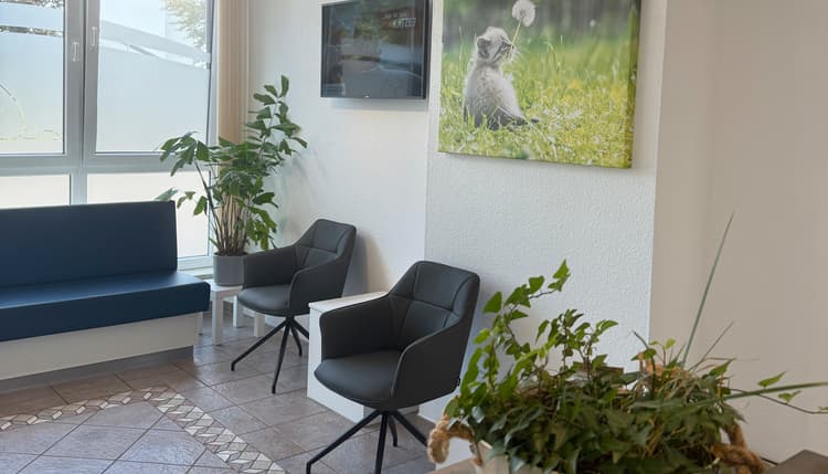 Vorschau von Kleintierpraxis Zur alten Ems ⎮ Tiermedizin in der Region Rhede (Ems)