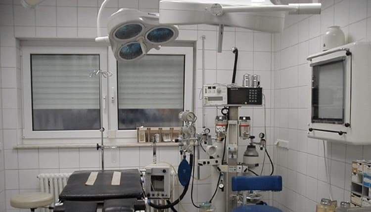 Vorschau von Dr. med. vet. Roland Graen