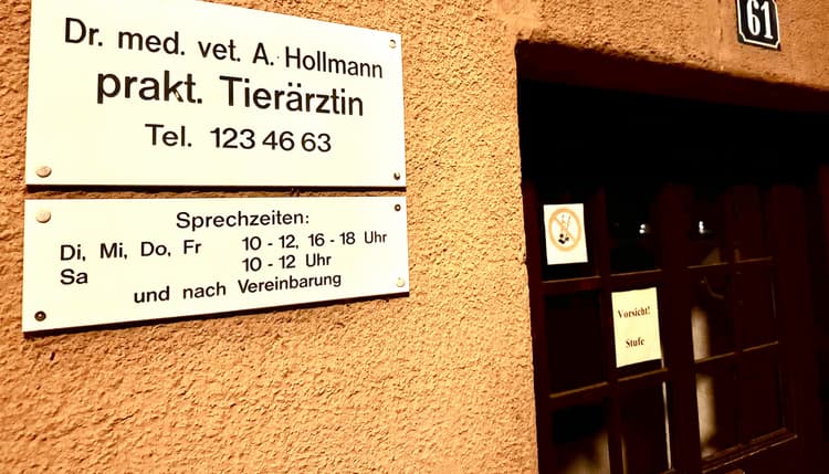 Vorschau von Dr. Andrea Hollmann