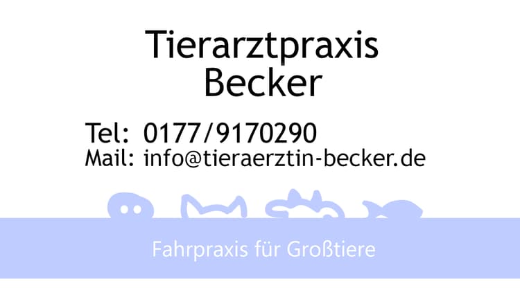 Vorschau von Tierarztpraxis Marie Becker