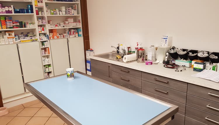 Vorschau von Dr.med.vet. Susanne Röhrl Tierärztin