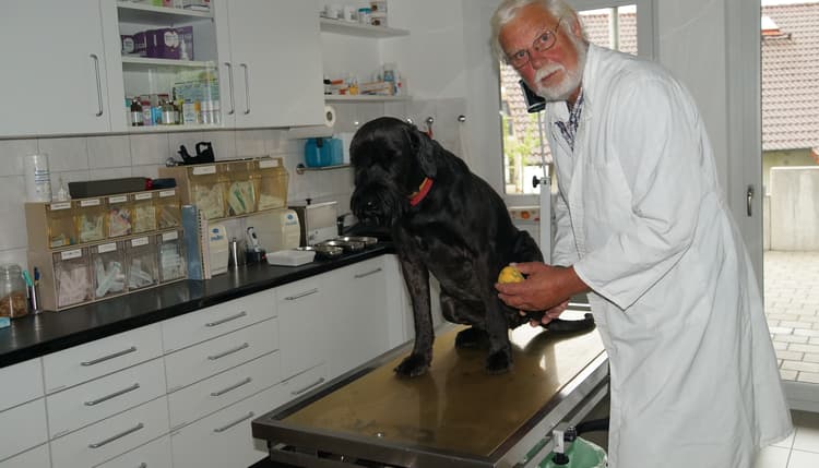 Vorschau von Dr. Dirk Lellbach, prakt. Tierarzt