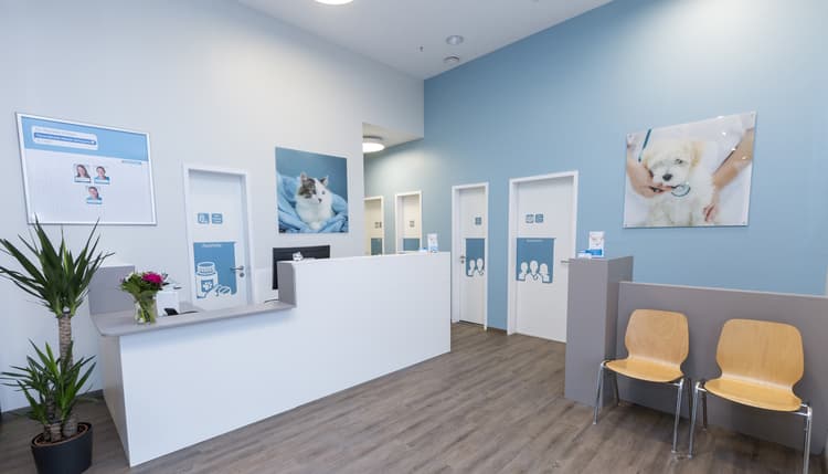 Vorschau von Tierarzt Hannover, Activet Tierarztpraxis Hannover Südstadt