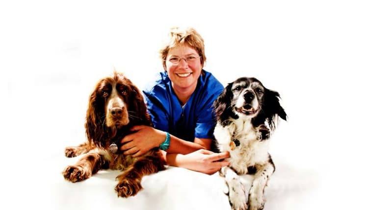 Vorschau von Kleintierarztpraxis Dr. Trixi Hollwich
