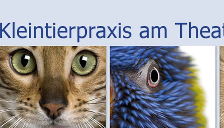 Vorschau von Kleintierpraxis am Theater