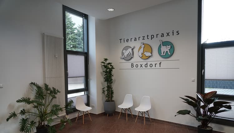 Vorschau von Tierarztpraxis Boxdorf