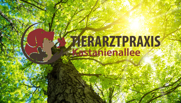 Preview of Tierarztpraxis Kastanienallee