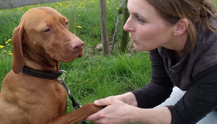 Vorschau von Tierarztpraxis Uta Bunge - Praxis für Veterinärchiropraktik