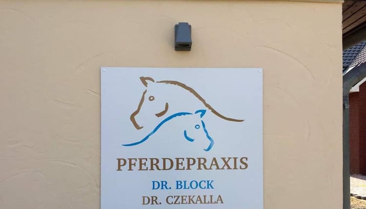 Vorschau von Pferdepraxis in Ostholstein