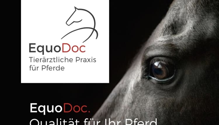 Vorschau von EquoDoc-Tierärztliche Praxis für Pferde in Wolfenbüttel, Braunschweig, Salzgitter