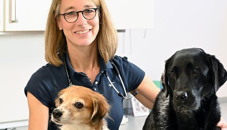 Vorschau von Kleintierpraxis Nienstedten - Dr. Katrin Wüstmann
