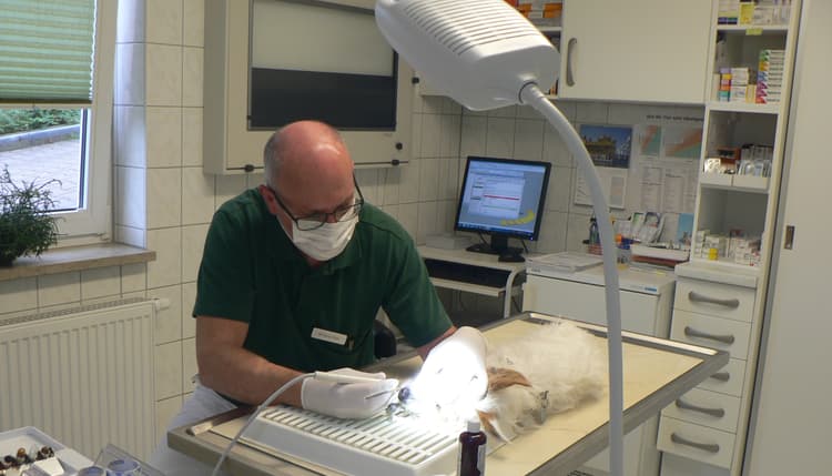 Vorschau von Dr.med.vet. Reiner Horn Tierarzt