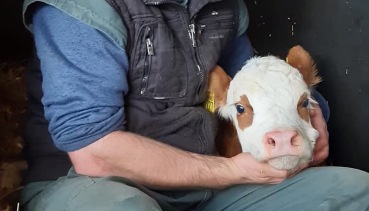 Vorschau von Tierarztpraxis MVDr. Marian Vecera