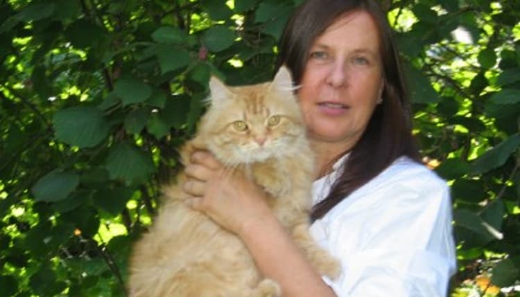 Preview of Prof. Dr. Beatrix Meier