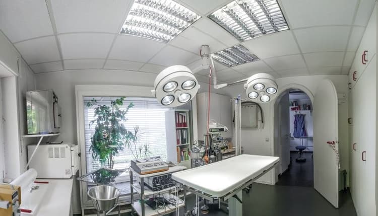 Vorschau von Kleintierpraxis Pforzheim Dr. Wolfgang Swidersky