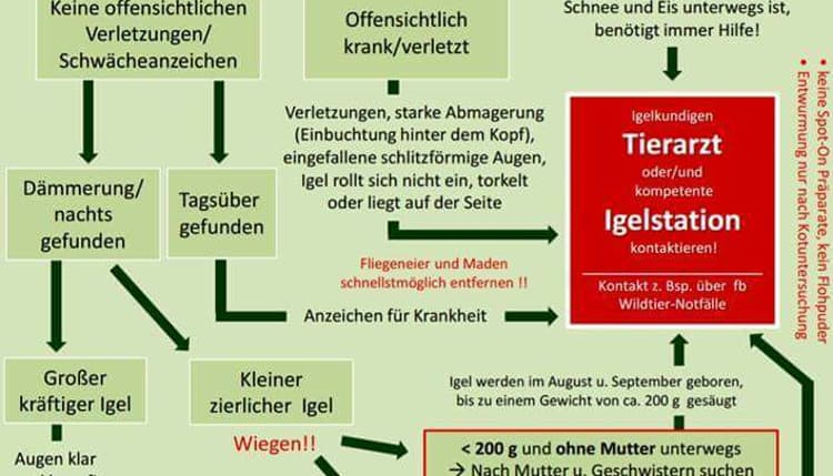 Vorschau von Tierarztpraxis Reckenfeld