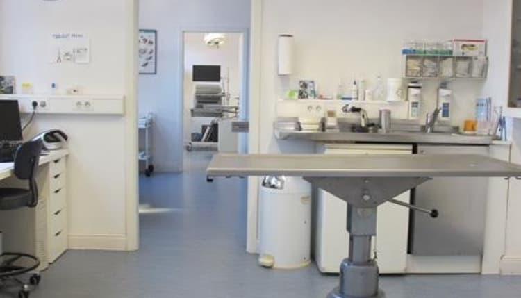 Vorschau von Tierarztpraxis Dr. von Marnitz GmbH, Holsteiner Chaussee