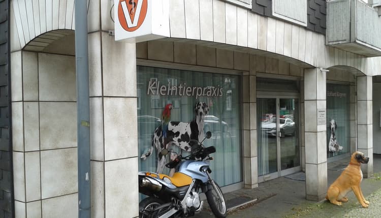 Vorschau von Eckhard Bürgener Tierarzt