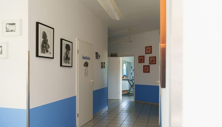 Vorschau von Kleintierpraxis am Falkenhof