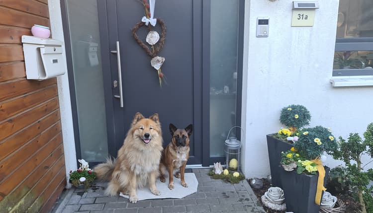 Vorschau von Bettina Weinert Tierärztin