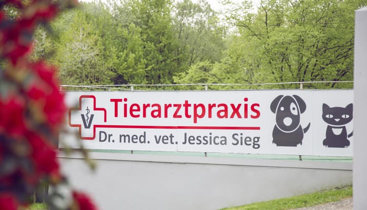 Vorschau von Tierarztpraxis Dr. Jessica Sieg -Fachtierärztin für Kleintiere