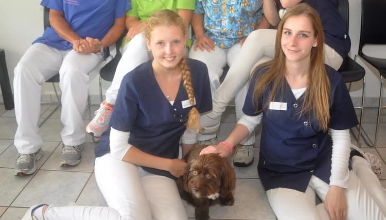 Vorschau von Dr. med.vet. Andrea Jansen - Fachpraxis für Kleintiere