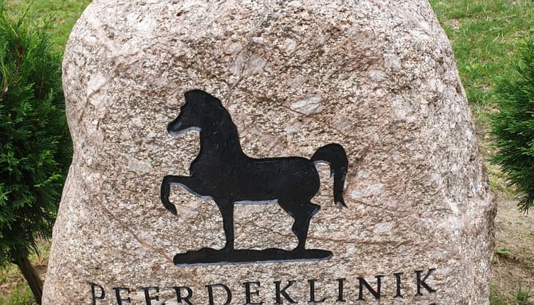Vorschau von Dr. Christina Becker
