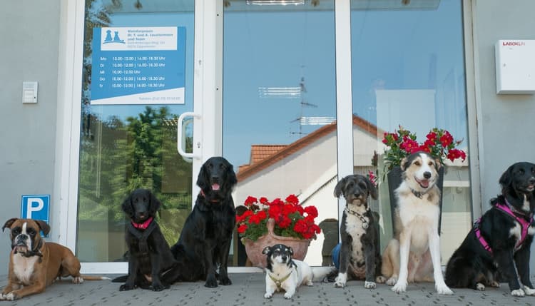 Vorschau von Tierarztpraxis Oppenheim