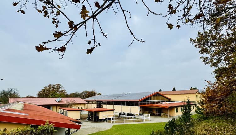Vorschau von Pferdeklinik Dallgow Altano GmbH - 24 Stunden Notdienst