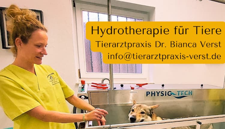 Vorschau von Tierarztpraxis Verst - Dr. Bianca Verst praktische Tierärztin & Augenspezialistin für Tiere