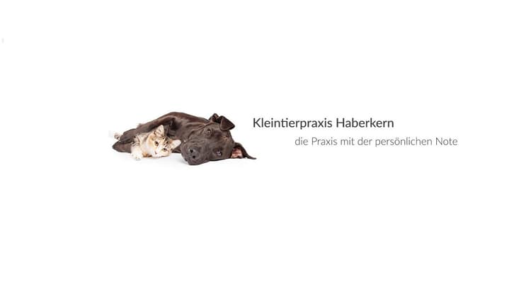 Vorschau von Kleintierpraxis Haberkern - Fachtierärzte im Raum Heilbronn und Neckarsulm