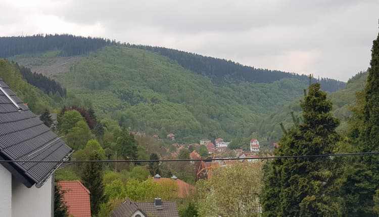 Vorschau von Corinett Gössel Tierärztin