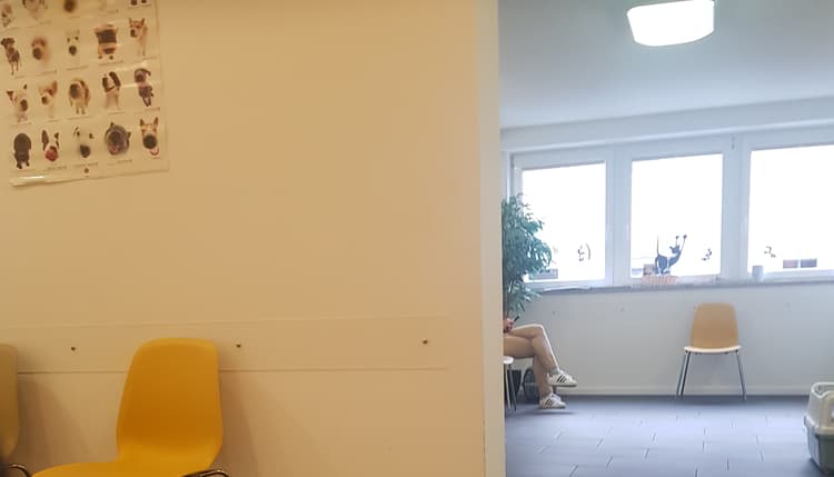 Vorschau von Tierärztin Petra Müller