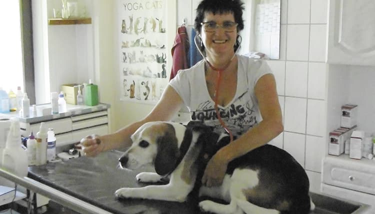 Vorschau von Kleintierpraxis Karin Bendix