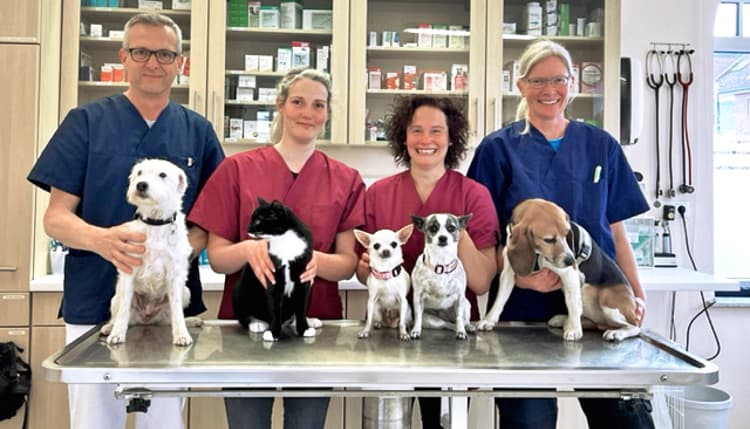 Vorschau von Tierarztpraxis Kellinghusen - DVM B. Düvier