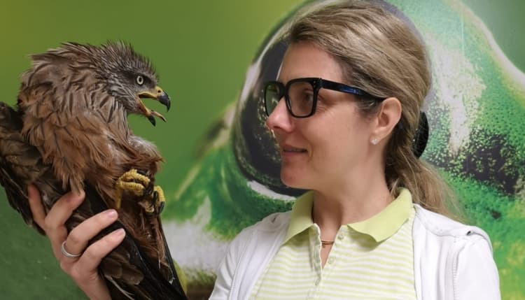 Vorschau von Tierarztpraxis Erbeldinger